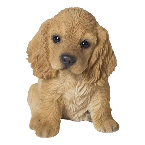 Cream coloured cocker spaniel - cocker,