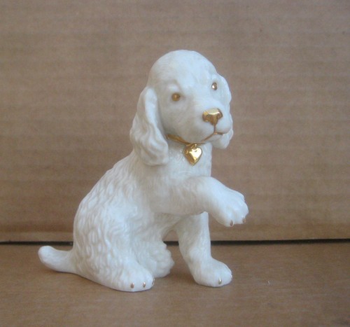 Lenox cocker spaniel - cocker, puppy