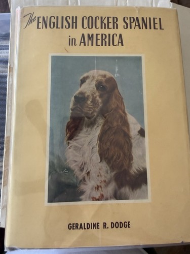 The english cocker spaniel - cocker,