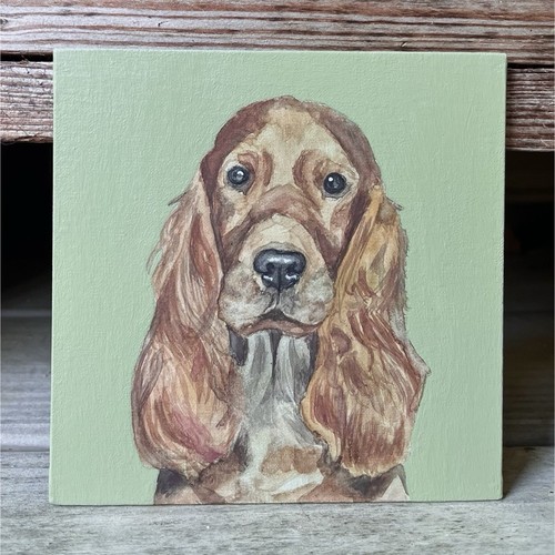 5x5 cocker spaniel dog - 5x5,