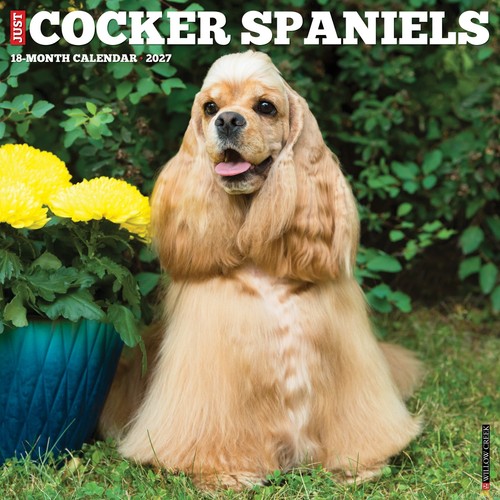 Cocker spaniels 2027 12 - 12", x